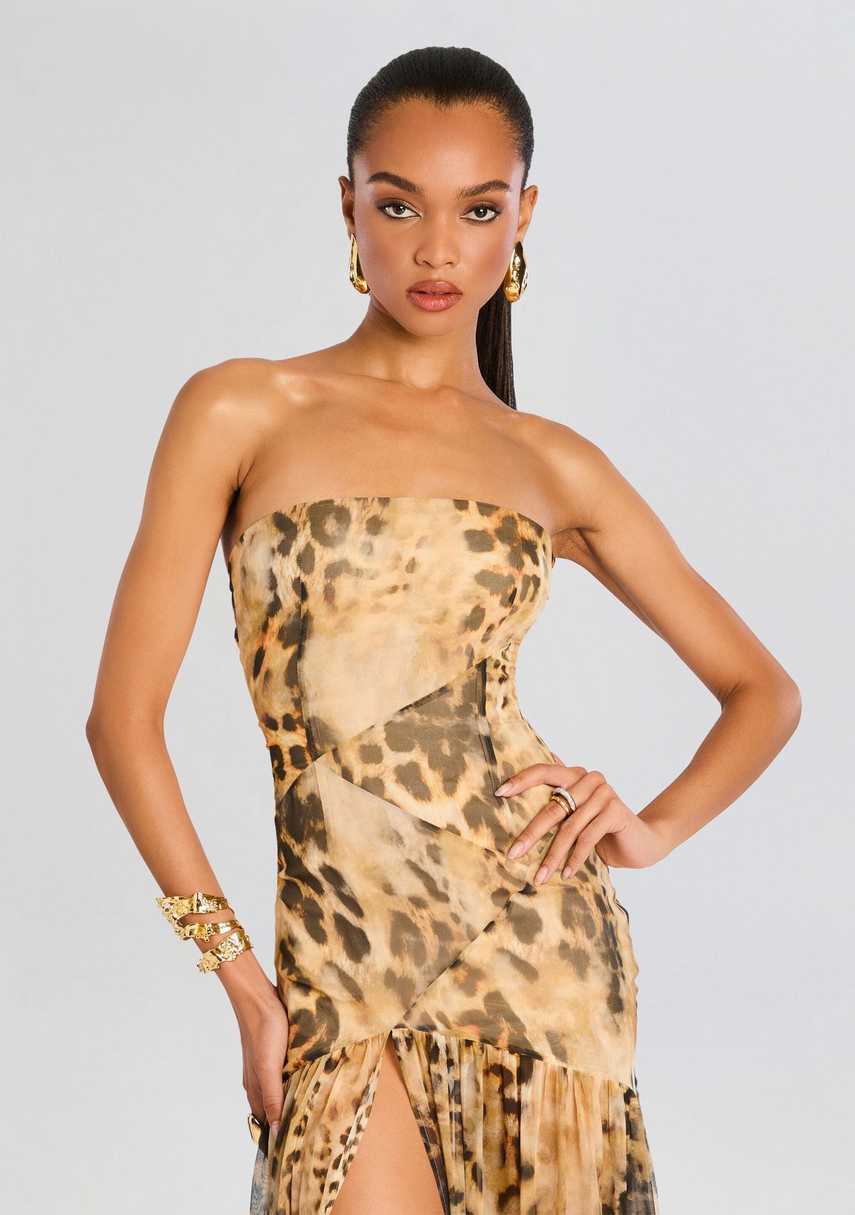 Nicole Silk Chiffon Dress