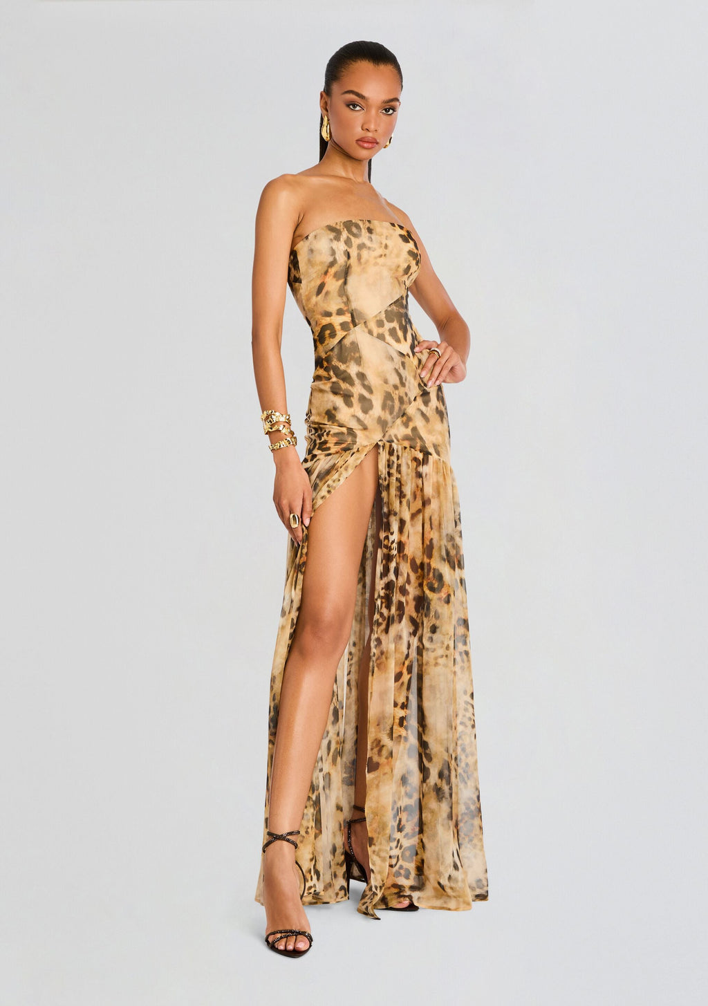 Nicole Silk Chiffon Dress