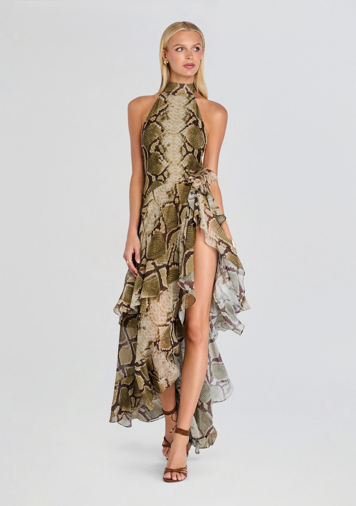 Nevae Chiffon Dress