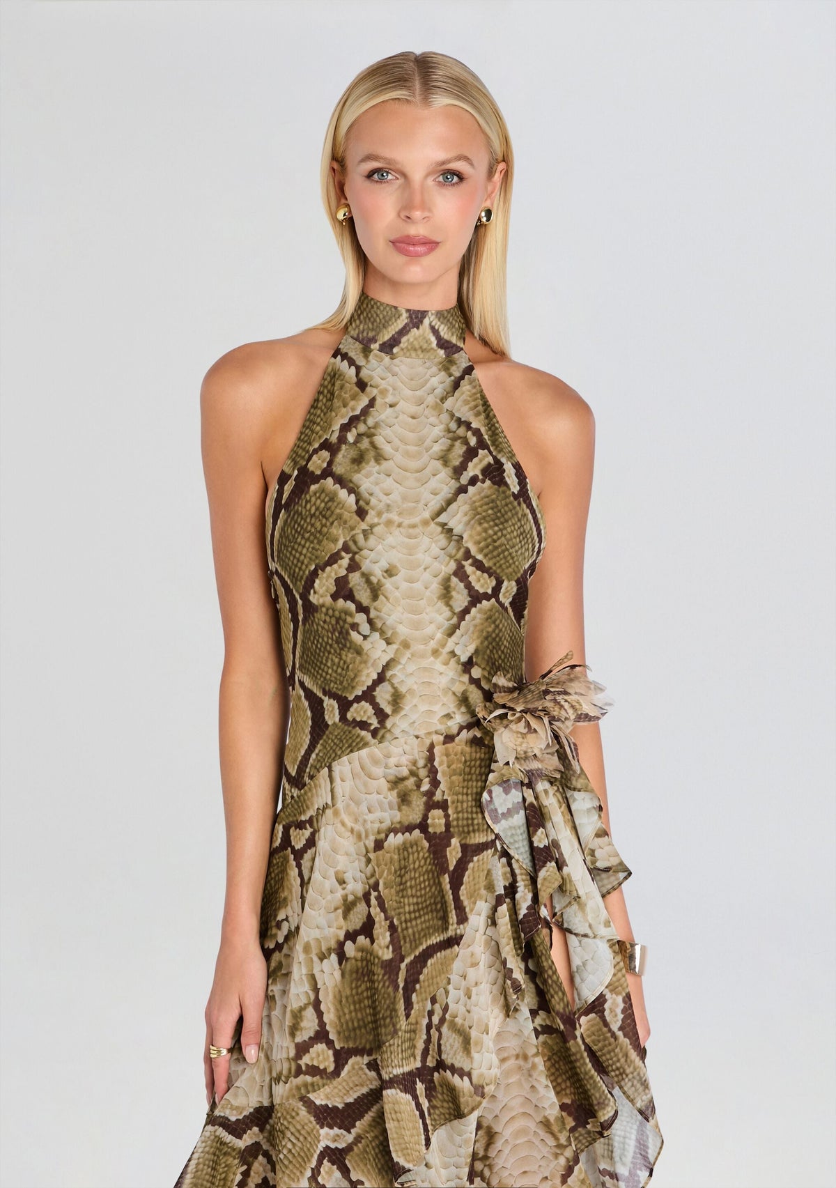 Nevae Chiffon Dress
