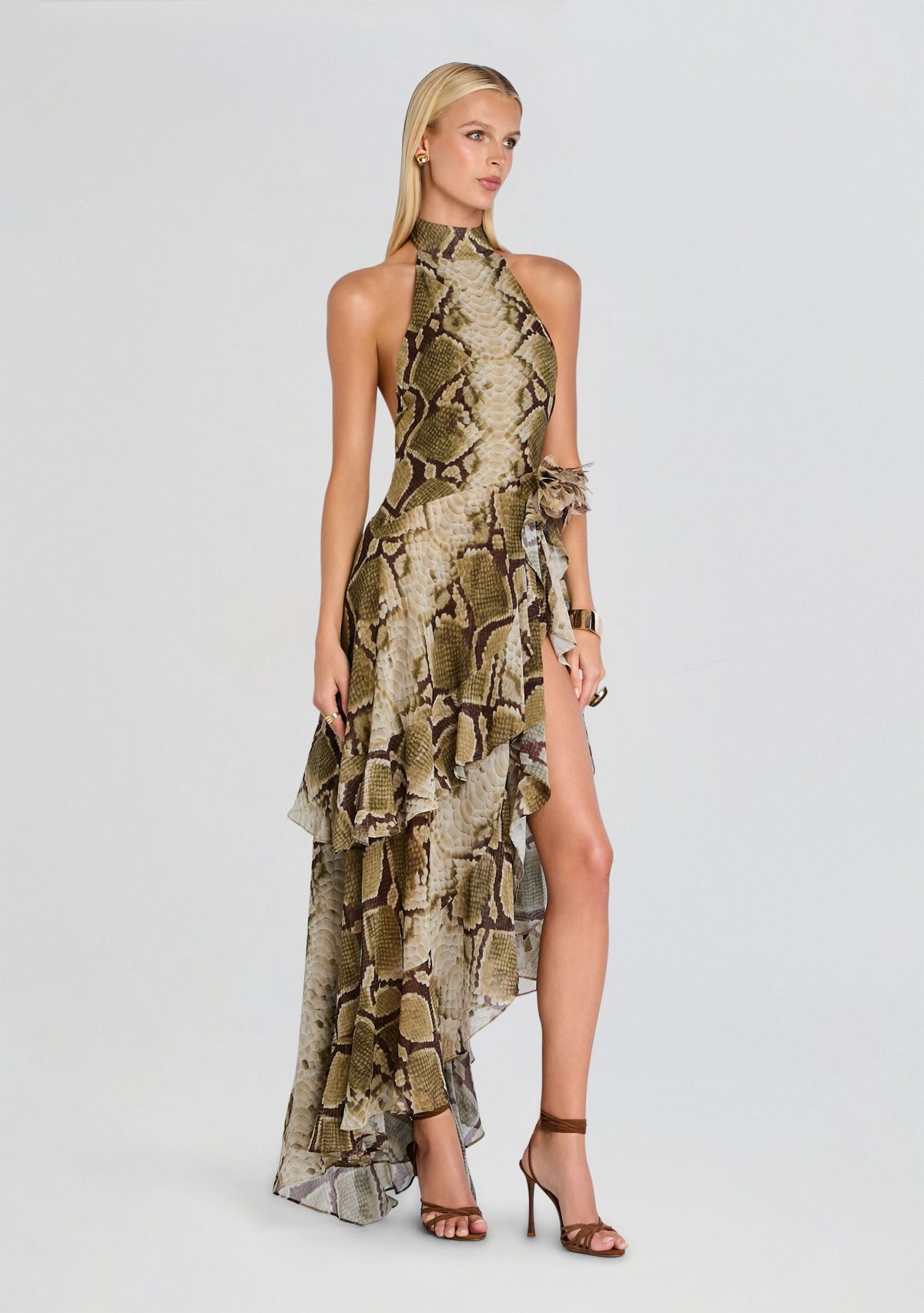 Nevae Chiffon Dress