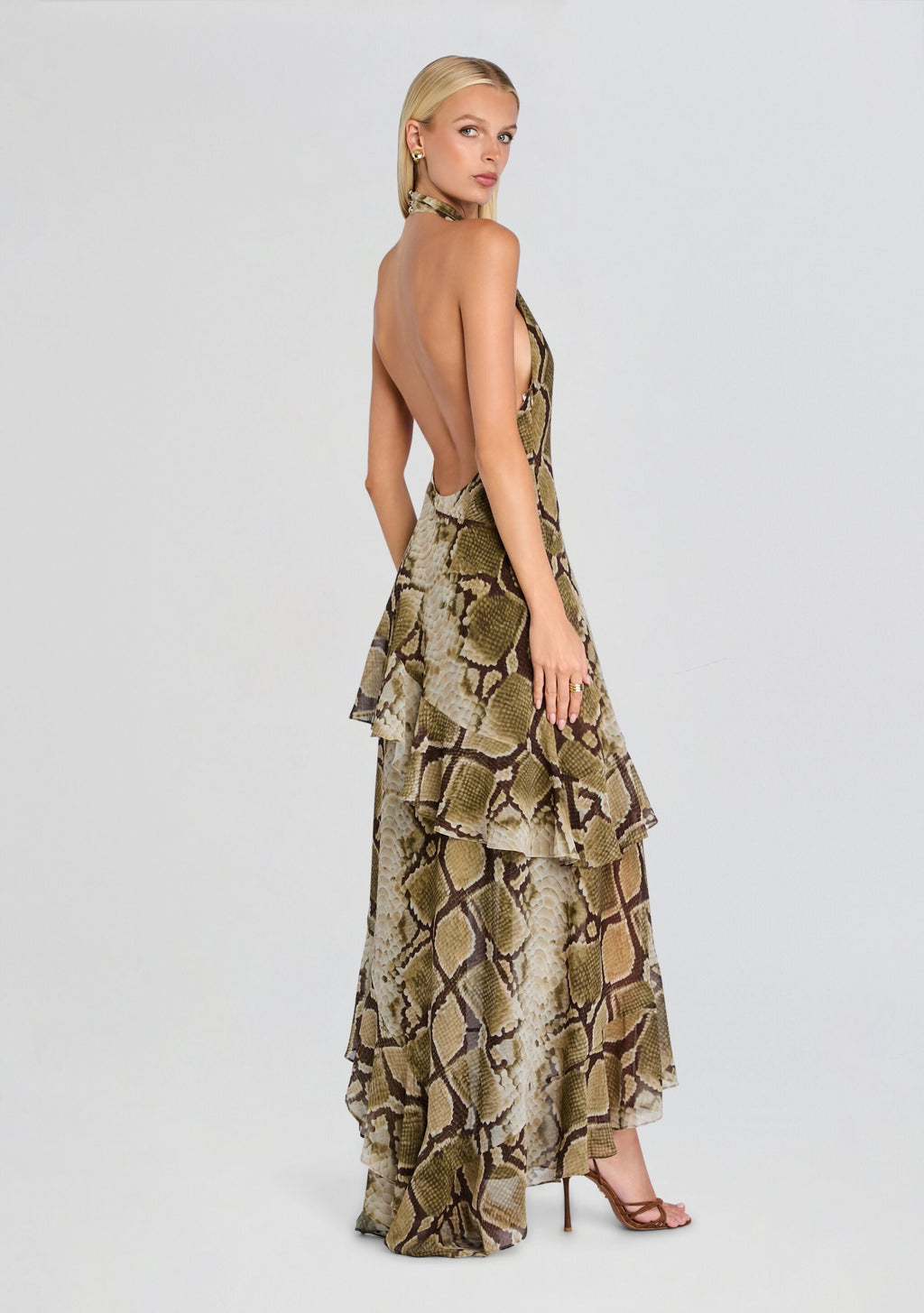 Nevae Chiffon Dress