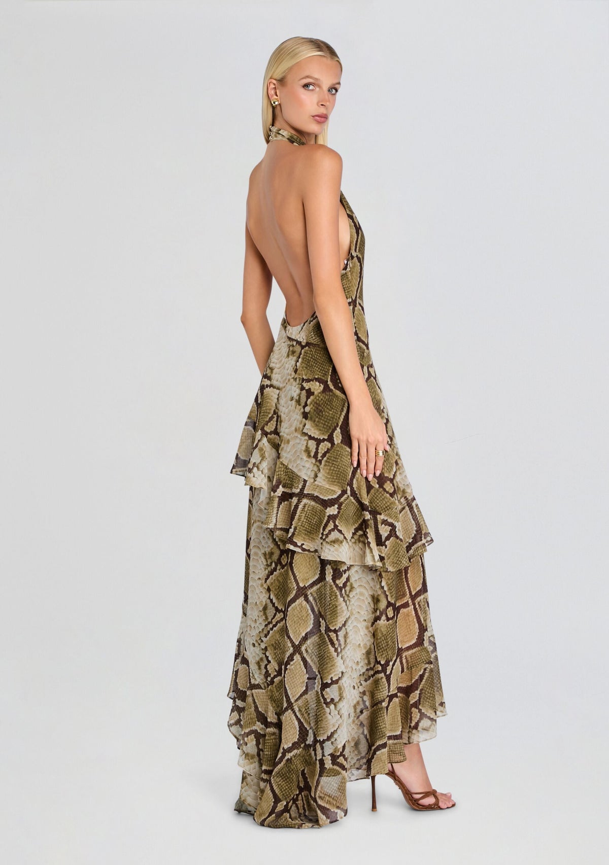 Nevae Chiffon Dress
